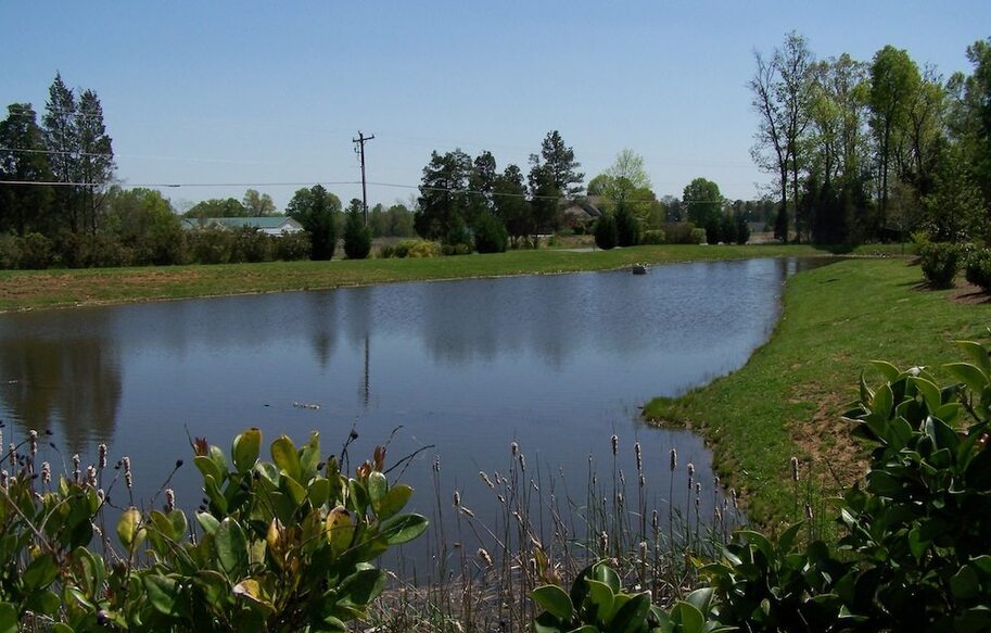 Brightwood Farms
