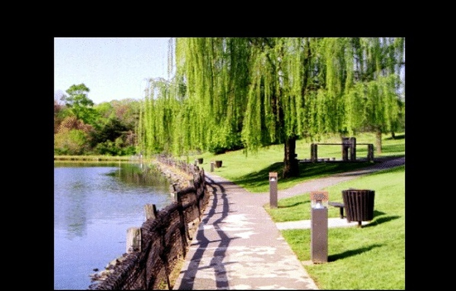 Covington Memorial Park